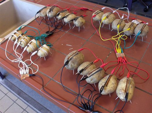 Energy from patatoes: patato battery