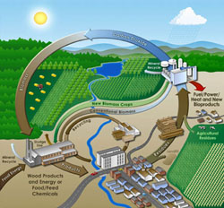 Biomass energy production